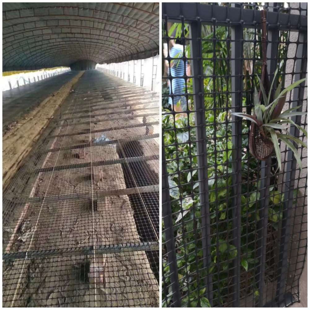 Garden Lattice Mesh Black Plas - огляд і ціна Rabbit Cage Wire