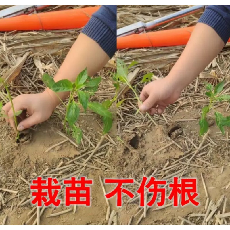 Agricultural Seedling Transpla - огляд і ціна Farming Agriculture Tools